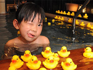 �R�㉷��@����̏h�@�󐶒�