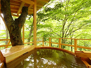 �M�B���R���򋽁@��l�I�V�╗�C�ƌk�J���̏h�@�R�c����@���i��