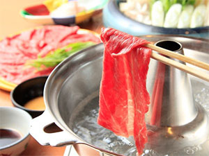 飛騨高山温泉 宝生閣