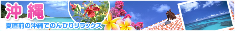 夏直前の沖縄でのんびりリラックス