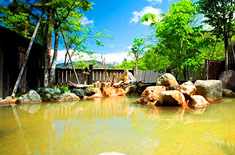 ���̏h�@�[�R����