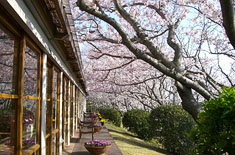 ���]�[�g�z�e���@���A�i�R�[�X�g