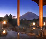 [�����N�摜] �z�e���O���[���v���U����