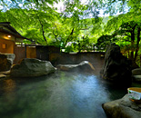 [�����N�摜] �ۑ��i������񂻂��j