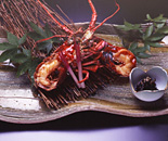 [�����N�摜] ���ٓV��