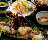 [�����N�摜] ���r�X�^�ɓ��R�i���@�h�[�~�[���B���@�ɓ��R�j