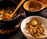 [�����N�摜] ���h�@�����R