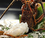 [�����N�摜] �ق��Ɖ���K���\���@�ʐ���