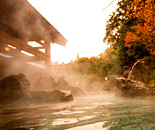 [�����N�摜] �����쉷�򋽁@�m�̓��@����̗�