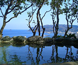 [�����N�摜] �r�[�`�R�~���[���@�V���v���[�X