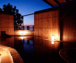 [�����N�摜] �������̎��R���@�M�����t