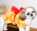 [�����N�摜] ����̋q���I�V���C�̏h�@�e���̃����c