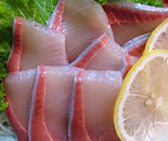 [�����N�摜] ���ɓ��x�͘p�@���h�g���]���̏h�@�ɓ���