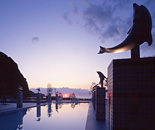 [�����N�摜] ���ɓ��z�e���j���[����