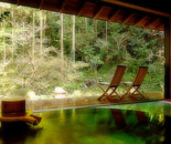 [�����N�摜] �ʏ����V��