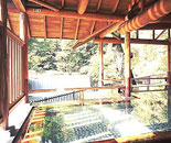 [�����N�摜] �l�����ނ�