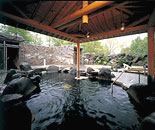 [�����N�摜] �z�e���O���[���v���U�y���