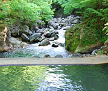 [�����N�摜] ��������