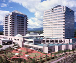 [�����N�摜] �z�e���G�s�i�[���ߐ{