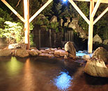 [�����N�摜] �z�e���G�s�i�[���ߐ{