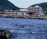 [�����N�摜] �G���̏h�@�䉮