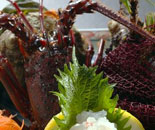 [�����N�摜] �G���̏h�@�䉮