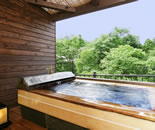 [�����N�摜] ���������w���̓��x �V�؍z�򗷊�