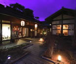 [�����N�摜] ���������w���̓��x �V�؍z�򗷊�