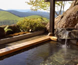 [�����N�摜] �����̏h �V�E�q��