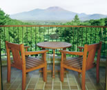 [�����N�摜] �y����ԃv�����X�z�e��