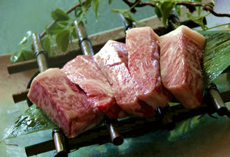 [�����N�摜] ���̂���h �Õۈ� ����