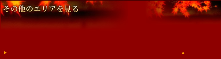 ���̑��̃G���A������