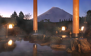 �z�e���O���[���v���U����