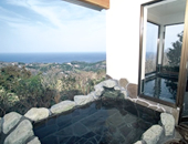 �r���[���]�[�g�@�}�����q���Y