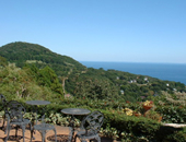 �r���[���]�[�g�@�}�����q���Y