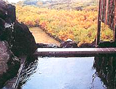 �C�̌����鏬���ȃz�e���@���o�e�B�[�q��