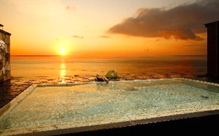 �C�̂قĂ�@������