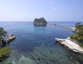 �C�ӂ̂����ꓒ�@����