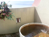 �v���C�x�[�g�r�[�`�K�[�e���@���̂Ȃ���