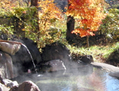 �����h�Ɂ@�k�R��