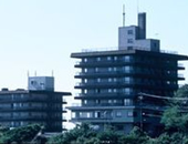 ���̓����򂩂������̏h�@���쉮�ߐ{�����z�e��