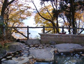 �z�e���Ώ�t