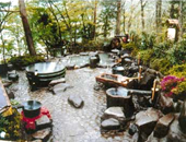 �z�e���Ώ�t