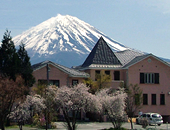 �Εӂ̏����ȃz�e���@�}�[���C�h