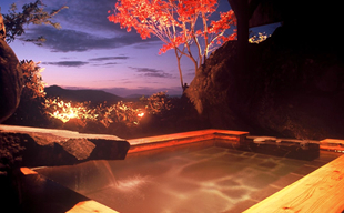 �����̏h�@�V�E�q��