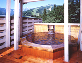 �x���N�g�[���ۖk