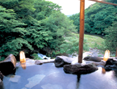 �R�ƌk���ɕ����ꂽ�I�V���C�̏h�@���ȉ���z�e���e��