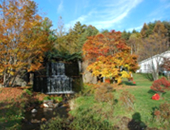 ���ȃp�[�N�z�e��