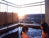 �i�`�������t�@�[���V�e�B�_���z�e��