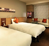 �O��K�[�f���z�e���D�y